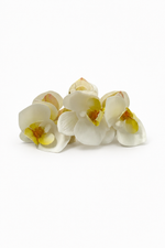 TRIPLE FLOWER CLAW CLIP