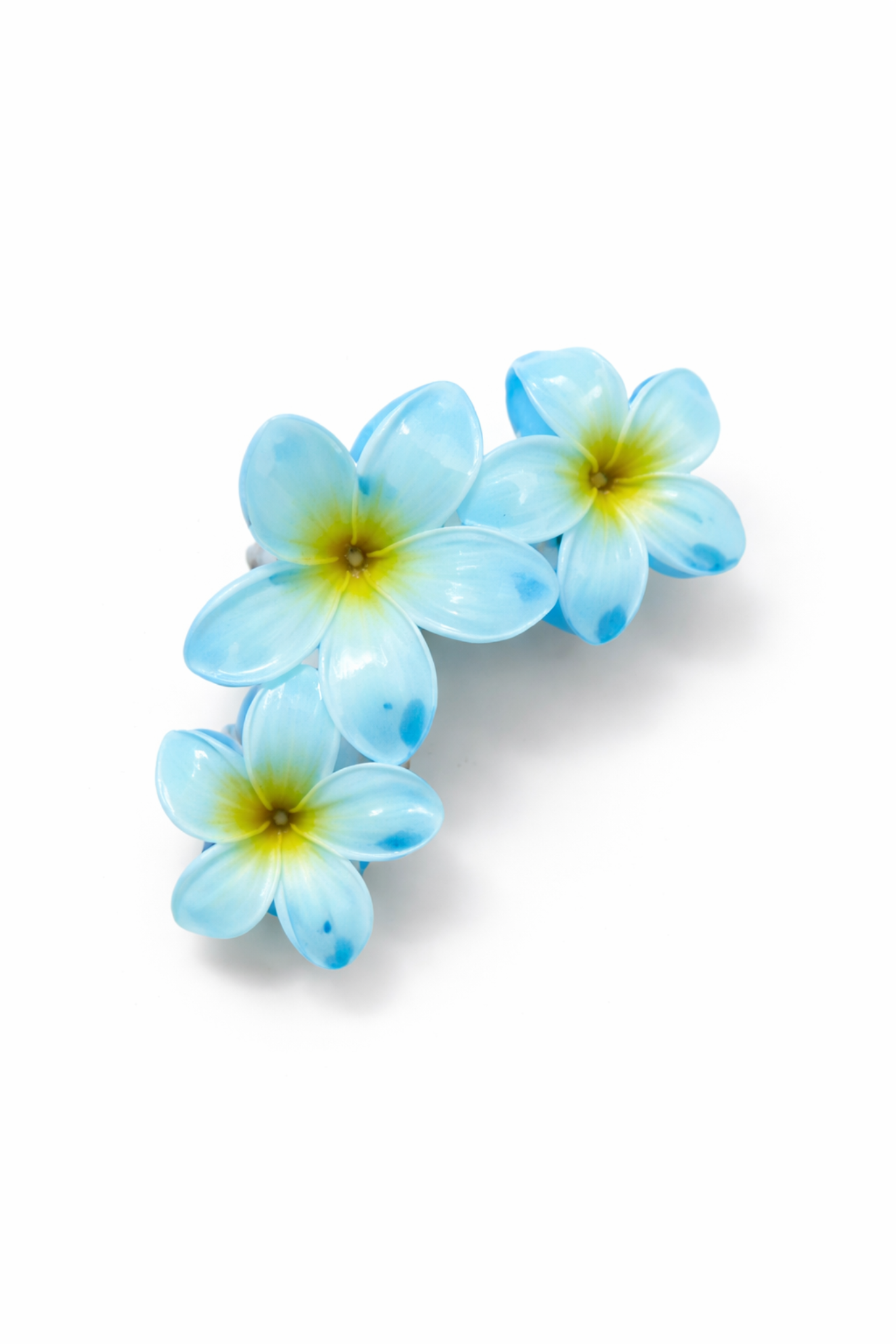 Three blue flowers with yellow centers on a white background
