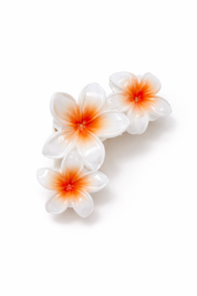 Three white flowers with orange centers on a white background