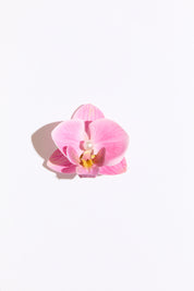 PASTEL ORCHID HAIR CLIP