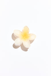 White flower with yellow center on a white background