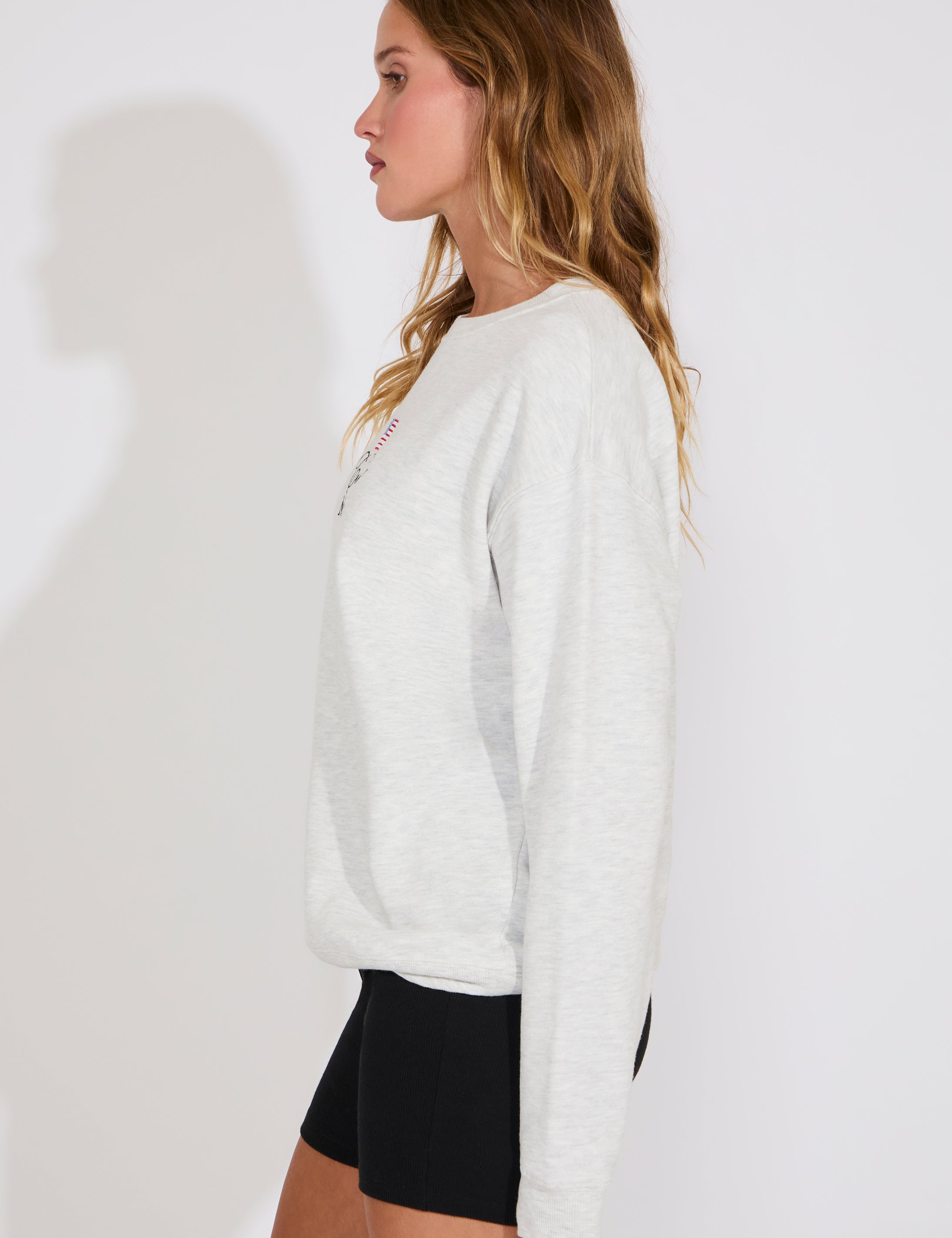 SWTSHIRT1_1106.jpg