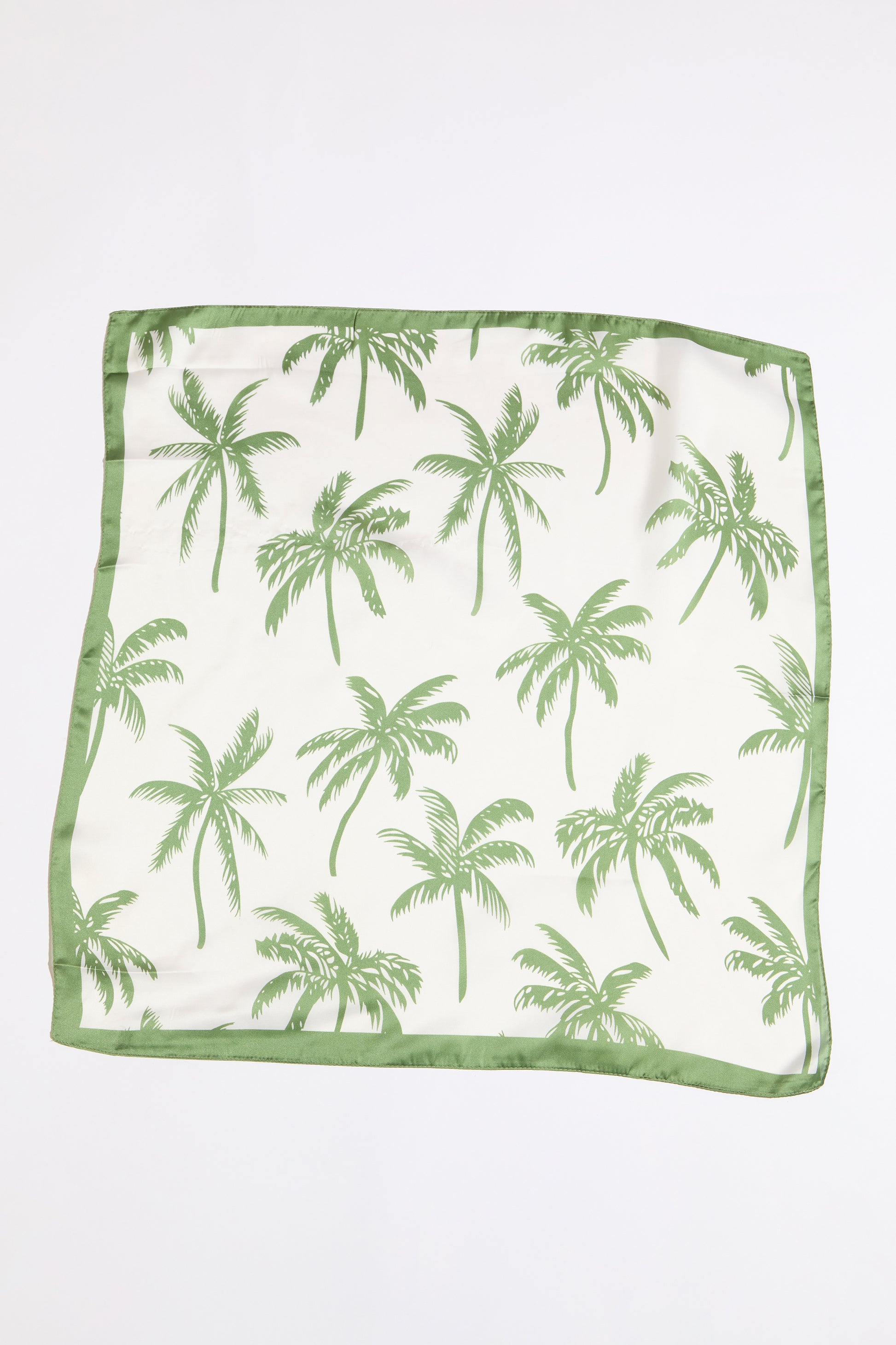 Palm tree and border silk scarf on a white background.