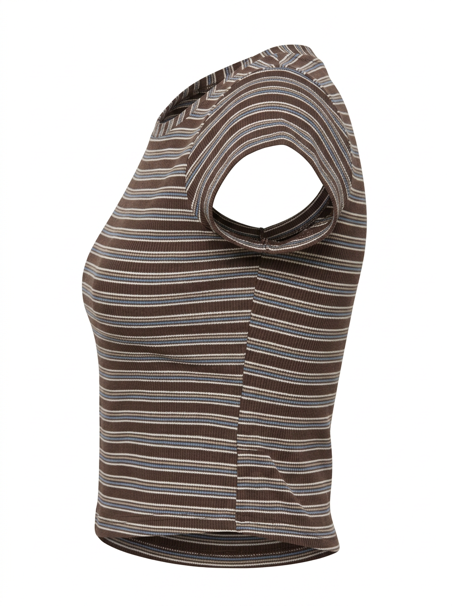 Ghost cut image of a brown BOAT NECK CAP SLEEVE STRIPED BOXY FIT TOP on a white background.