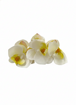 A white TRIPLE FLOWER CLAW CLIP on a white background.